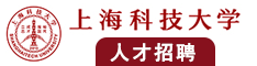 大屌肏骚屄视频