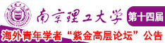 我爱插入精品逼南京理工大学第十四届海外青年学者紫金论坛诚邀海内外英才！